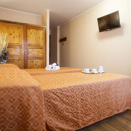 奥林匹克酒店 酒店 3*